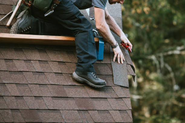 Best Roof Gutter Cleaning  in Arcanum, OH